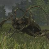 bug_0_0