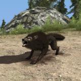 wolf_screen